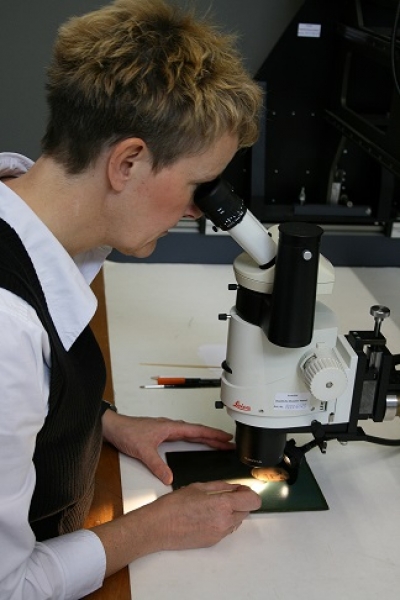 Anne Harmssen am Mikroskop